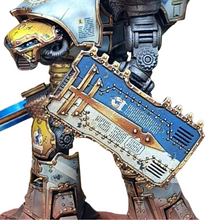 Load image into Gallery viewer, Shield Combat Arm