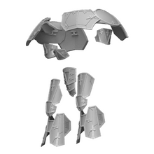 Load image into Gallery viewer, Loyal Armour Plates